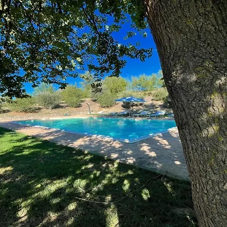 By The Pool - Villaexclusive Pool Sleeps 10 * 托迪